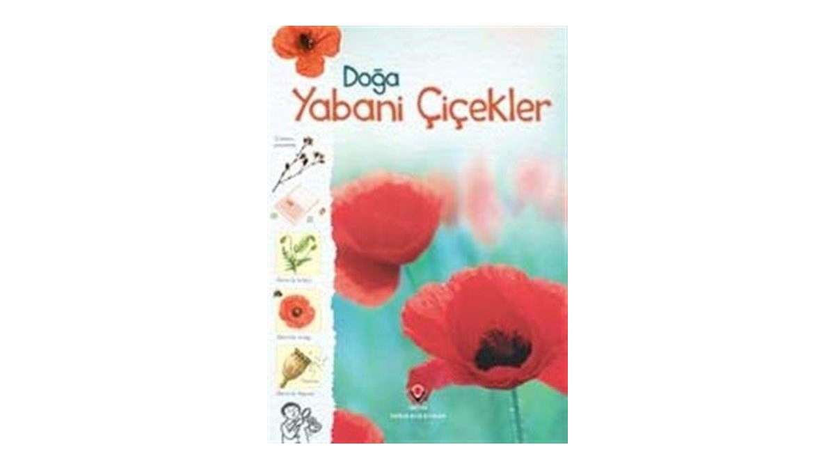 Doğa Yabani Çiçekler