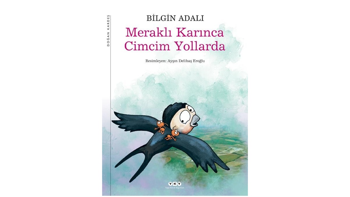 Meraklı Karınca Cimcim Yollarda
