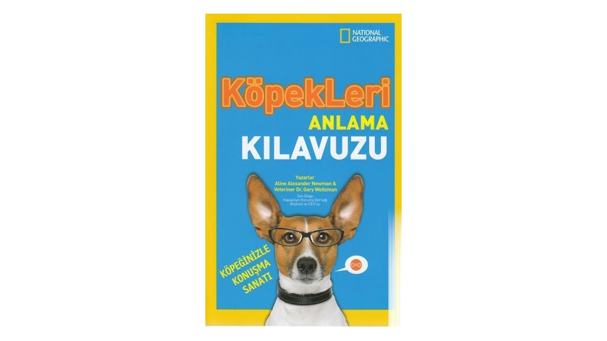 Kitapsan
