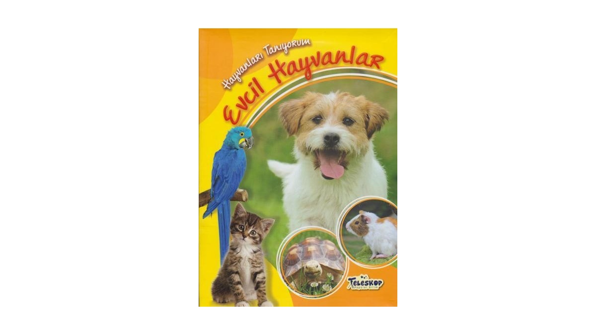Kitapsan