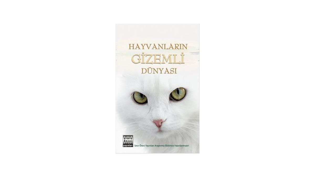 Kitapsan