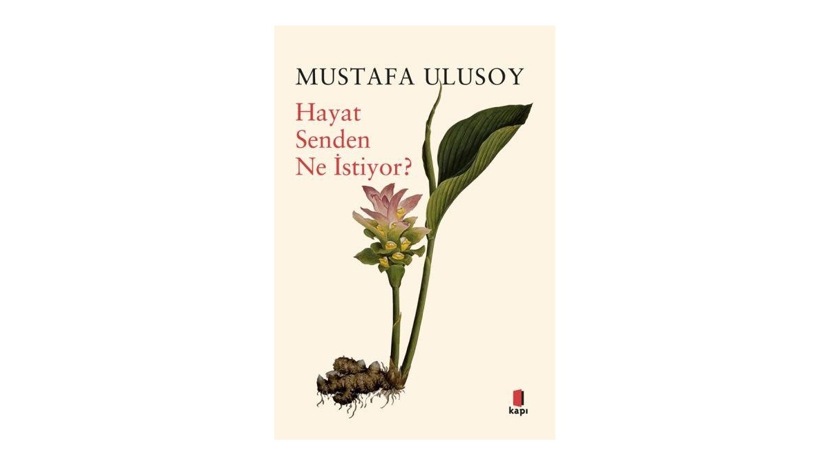 Hayat Senden Ne İstiyor