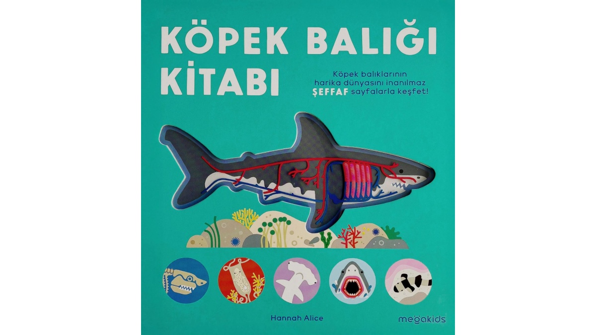 Kitapsan