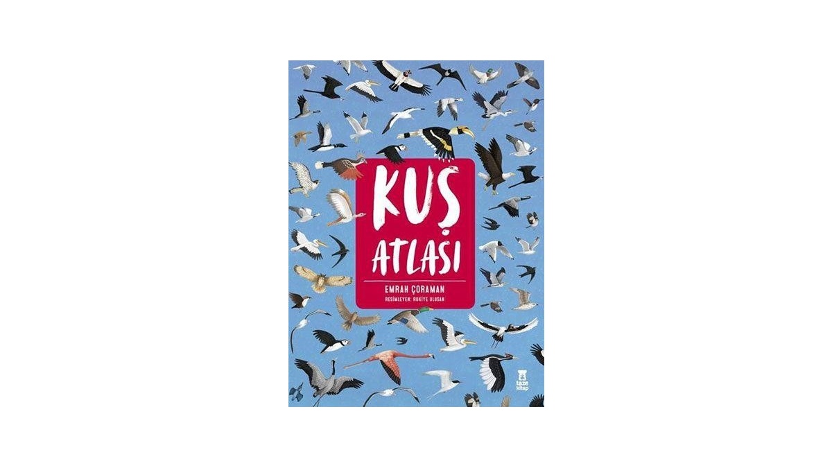 Kitapsan