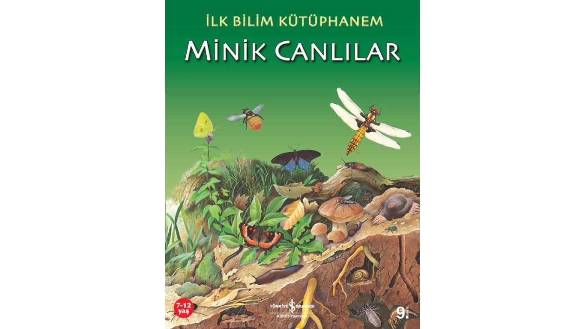 Kitapsan