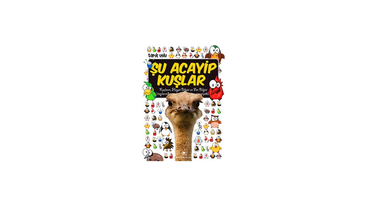 Kitapsan