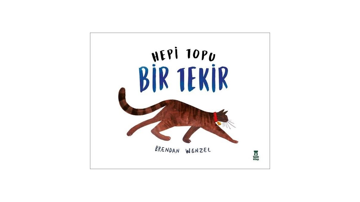 Kitapsan