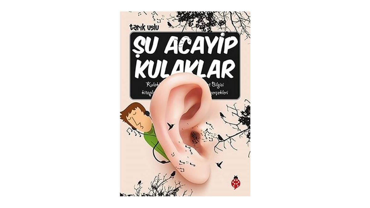 Kitapsan