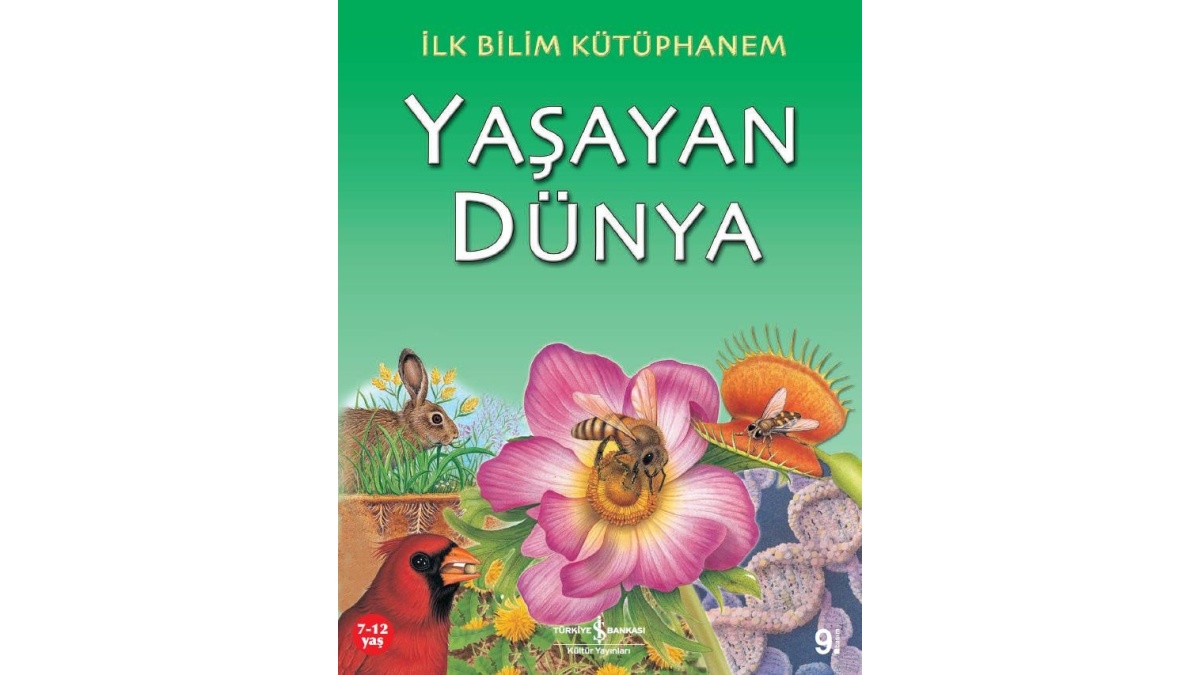 Kitapsan