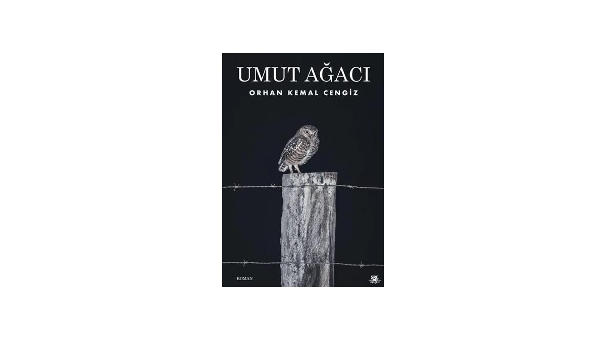 Umut Ağacı