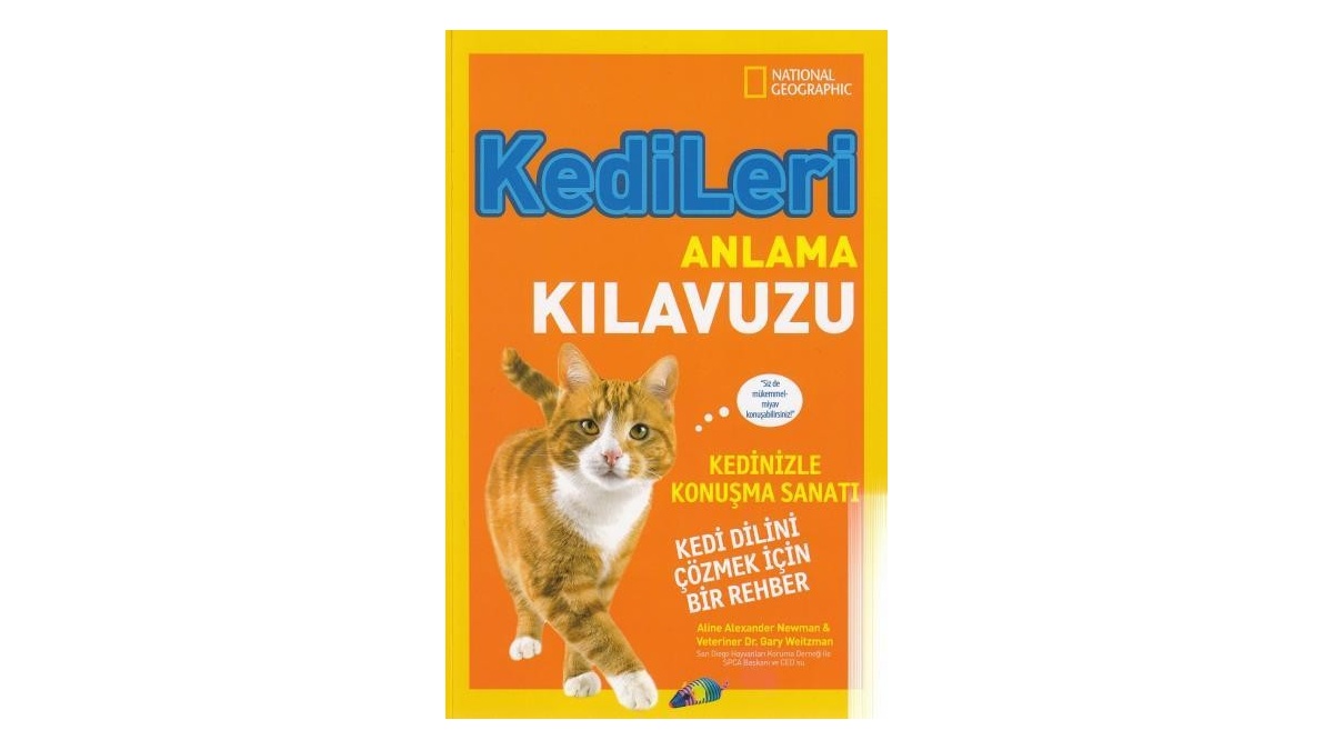 Kitapsan