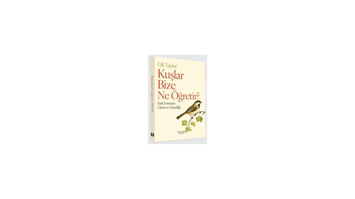 Kitapsan