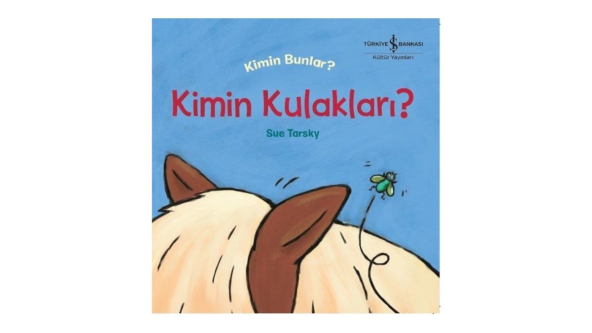 Kitapsan