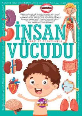 İnsan Vücudu