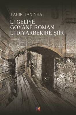 Li Geliye Goyane Roman Li Diyarbekire Şiir