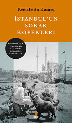 İstanbul un Sokak Köpekleri