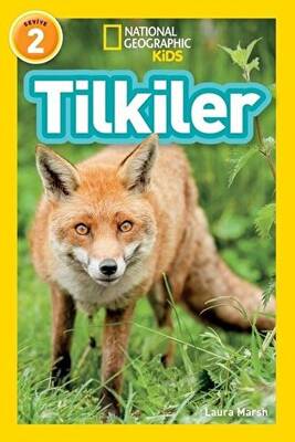Tilkiler Seviye 2