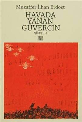 Havada Yanan Güvercin