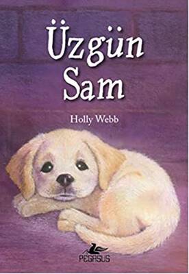 Üzgün Sam