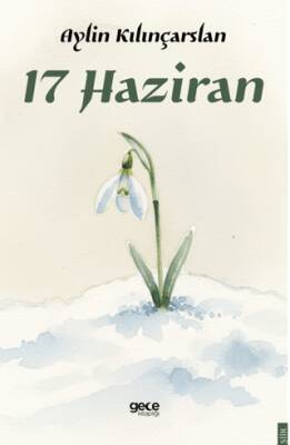 17 Haziran