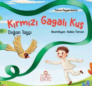 Kırmızı Gagalı Kuş