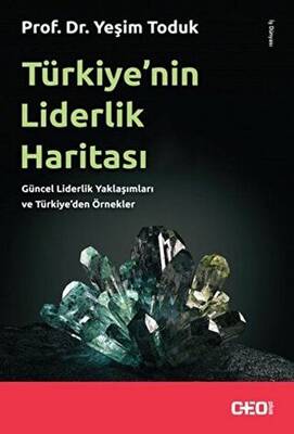 Türkiye nin Liderlik Haritası SC