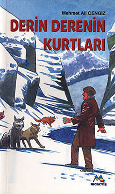 Kitap Sepeti