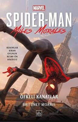 Spider Man Öfkeli Kanatlar