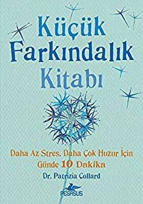 Küçük Farkındalık Kitabı