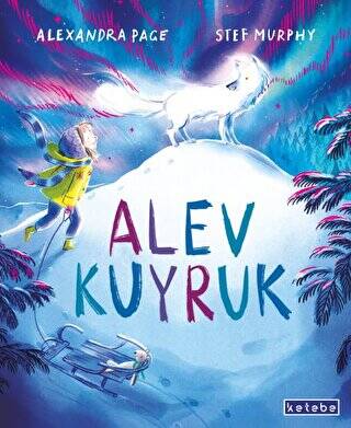 Kitap Sepeti