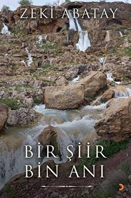 Bir Şiir Bin Anı