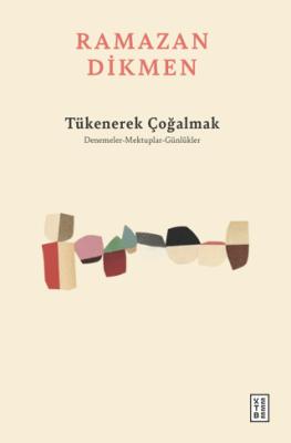 Tükenerek Çoğalmak Denemeler Mektuplar Günlükler