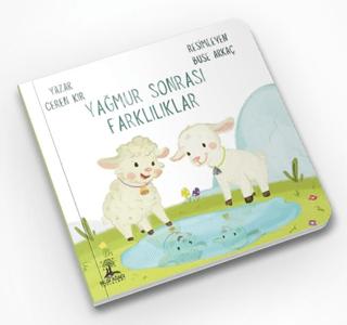 Yağmur Sonrası Farklılıklar