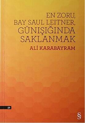 En Zoru Bay Saul Leitner Günışığında Saklanmak