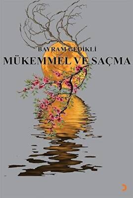 Mükemmel ve Saçma