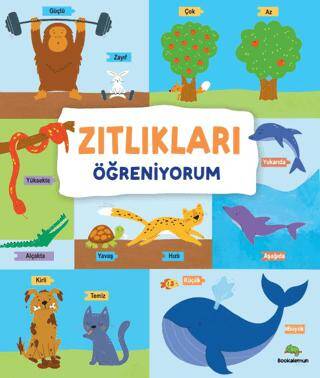 Kitap Sepeti