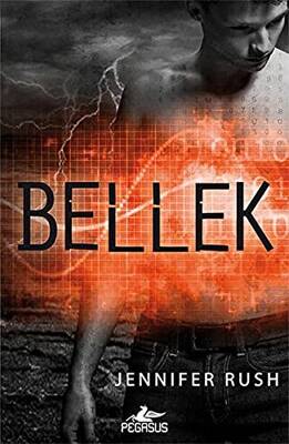 Bellek
