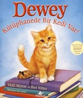 Dewey Kütüphanede Bir Kedi Var