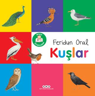 Kitap Sepeti