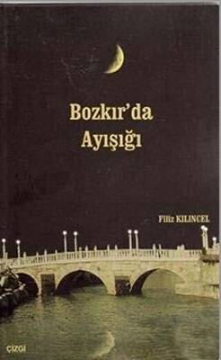 Bozkır da Ayışığı