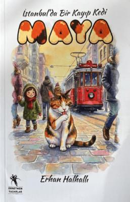 Maya İstanbul da Bir Kayıp Kedi
