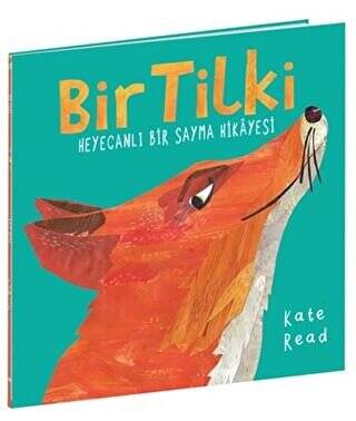 Bir Tilki