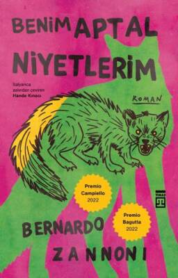 Benim Aptal Niyetlerim