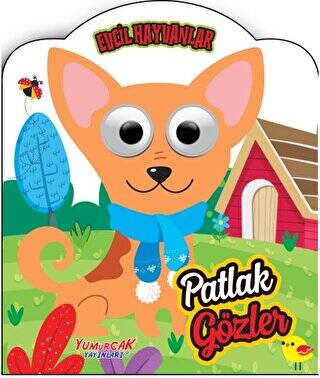 Patlak Gözler Evcil Hayvanlar