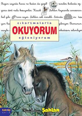 Kitap Sepeti