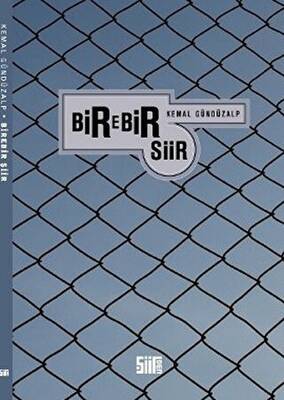 Birebir Şiir