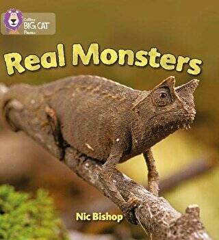 Real Monsters Big Cat Phonics 3 Yellow