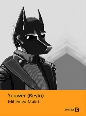 Segwer Reyin