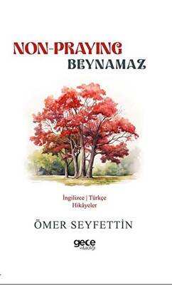 Non Praying Beynamaz