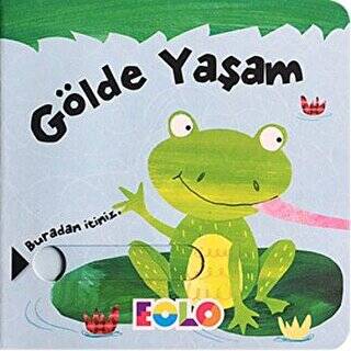Kitap Sepeti